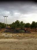s_815.jpg
